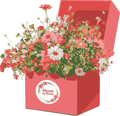 Kvetinové predplatné ilustrácia